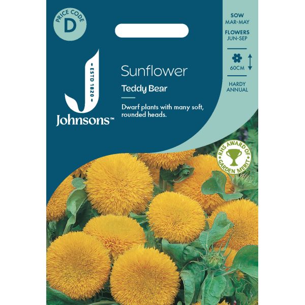 Sunflower Teddy Bear Seeds