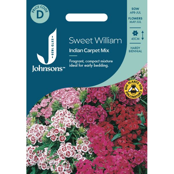 Sweet William Indian Carpet Mix Seeds