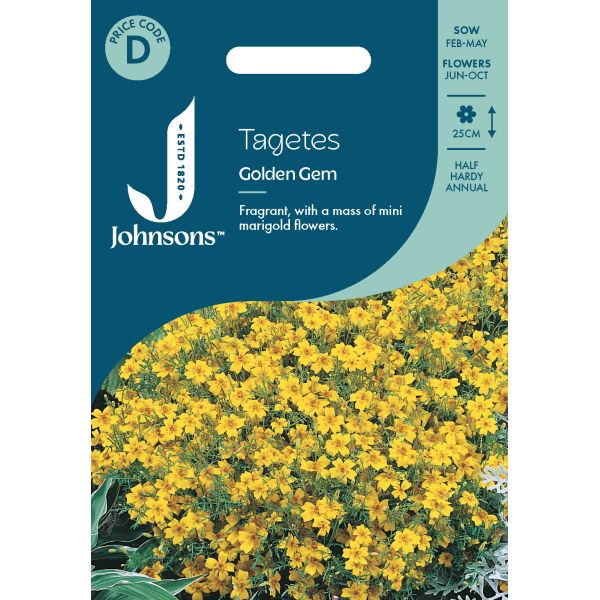 Tagetes Golden Gem Seeds