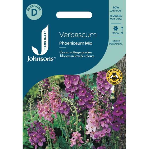 Verbascum Phoeniceum Mix Seeds