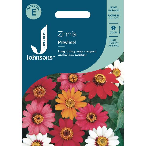 Zinnia Pinwheel Seeds