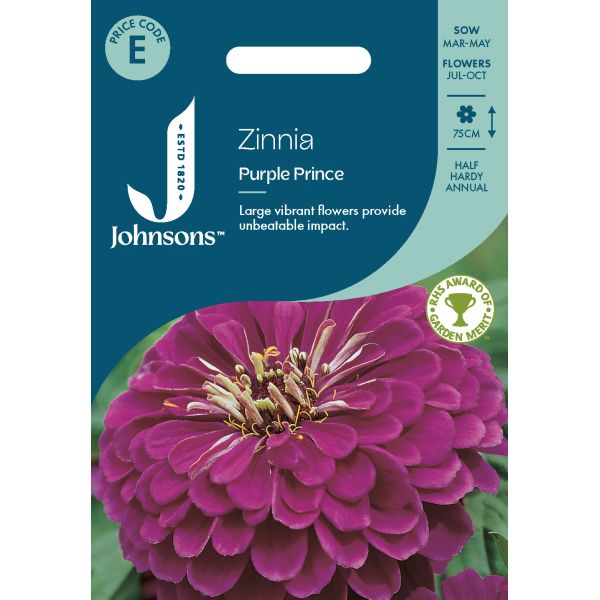 Zinnia Purple Prince Seeds