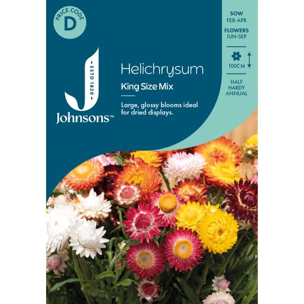 Helichrysum King Sze Mix Seeds
