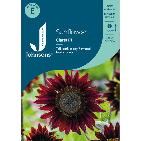 Sunflower Claret F1 Seeds