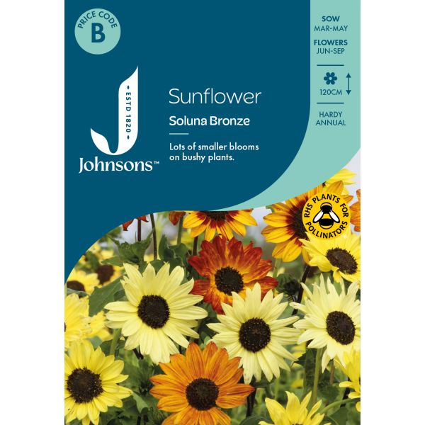 Sunflower Soluna Bronze Seeds