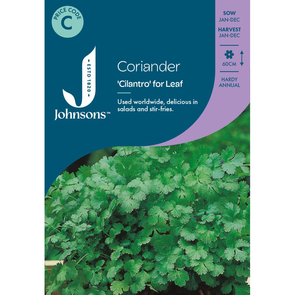 Coriander Cilantro for Leaf Seeds