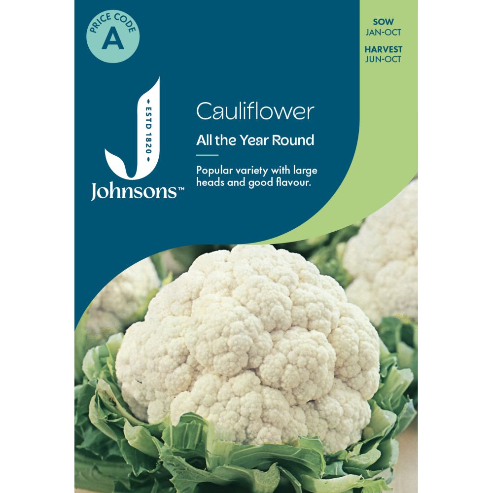 Cauliflower All The Year Round Seeds