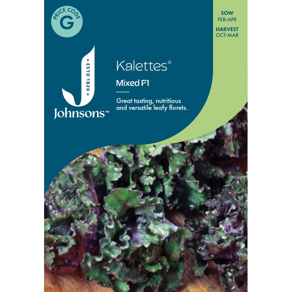 Kalettes® Mixed F1 Seeds