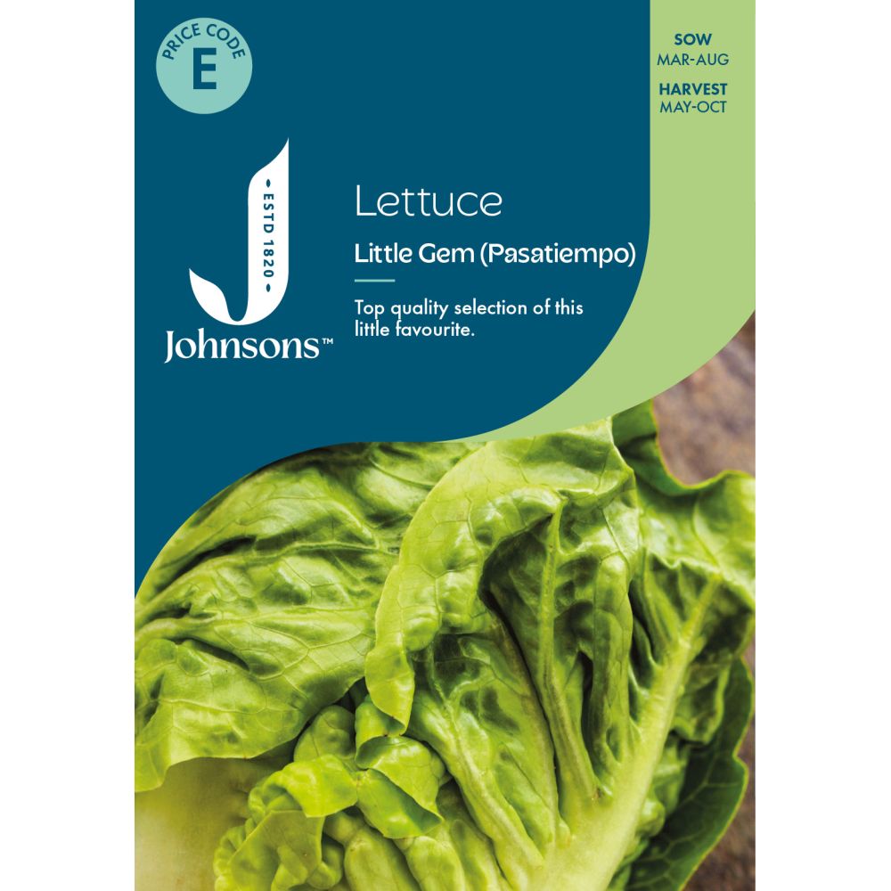 Lettuce Little Gem Pasatiempo Seeds