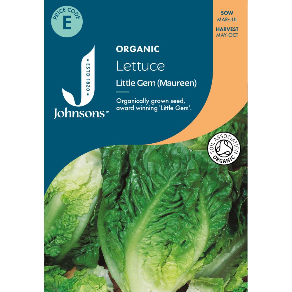 Lettuce Little Gem Maureen Organic Seeds