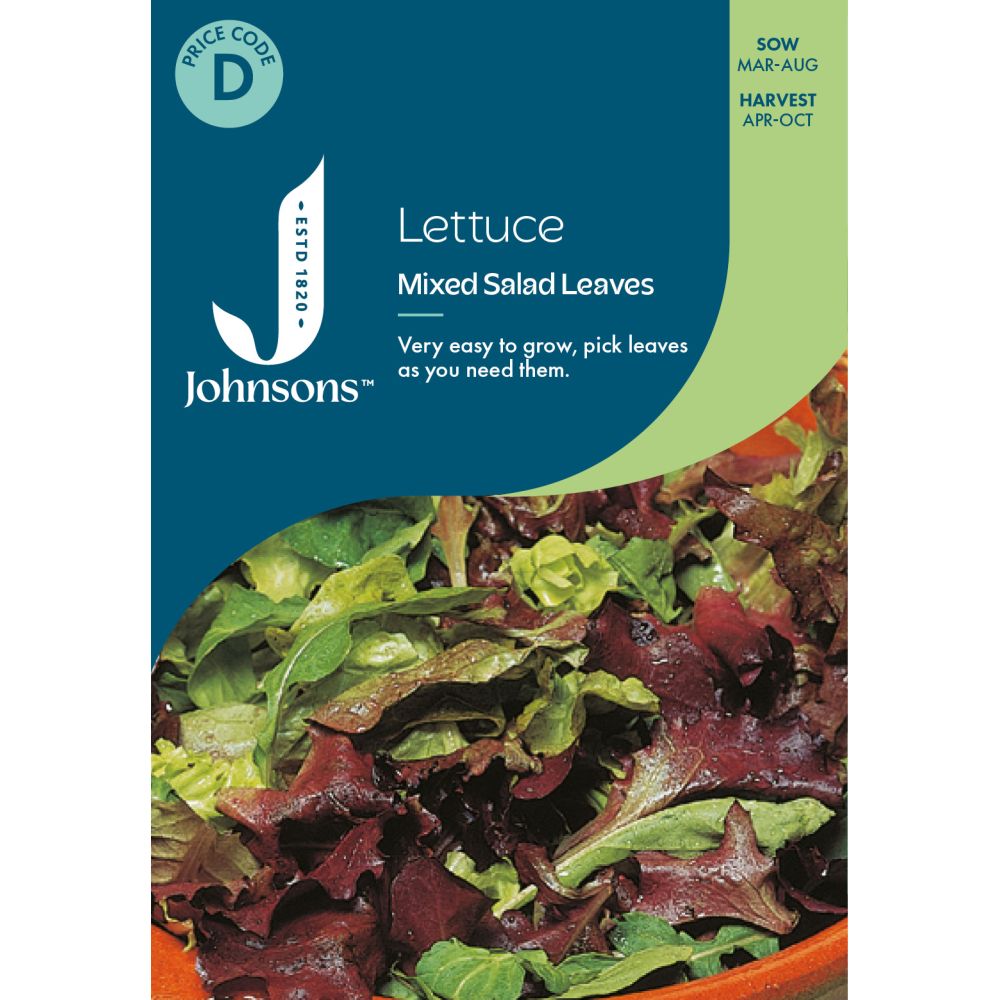 Lettuce Mixed Salad Leaves Seeds
