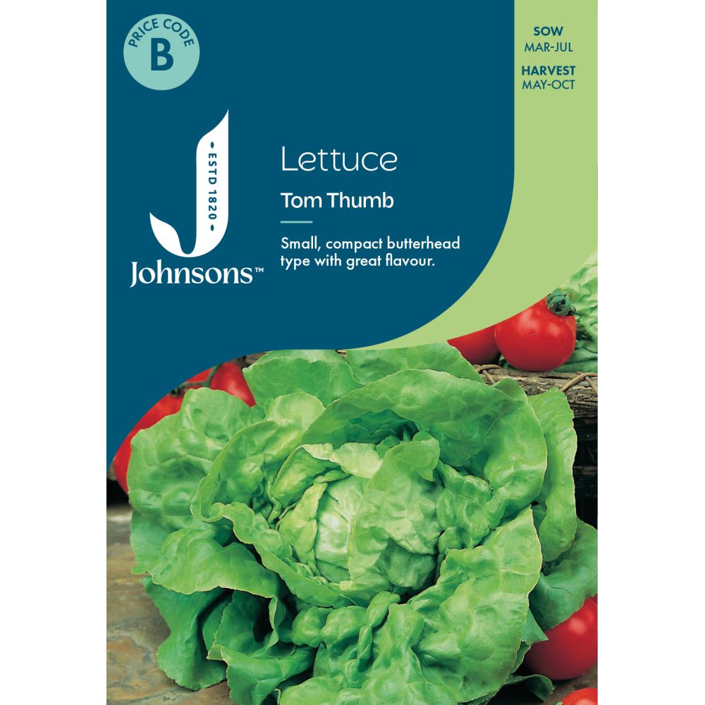 Lettuce Tom Thumb Seeds