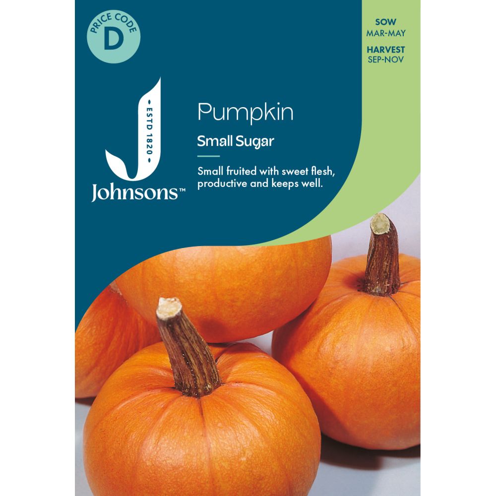 Pumpkin Small Sugar Seeds