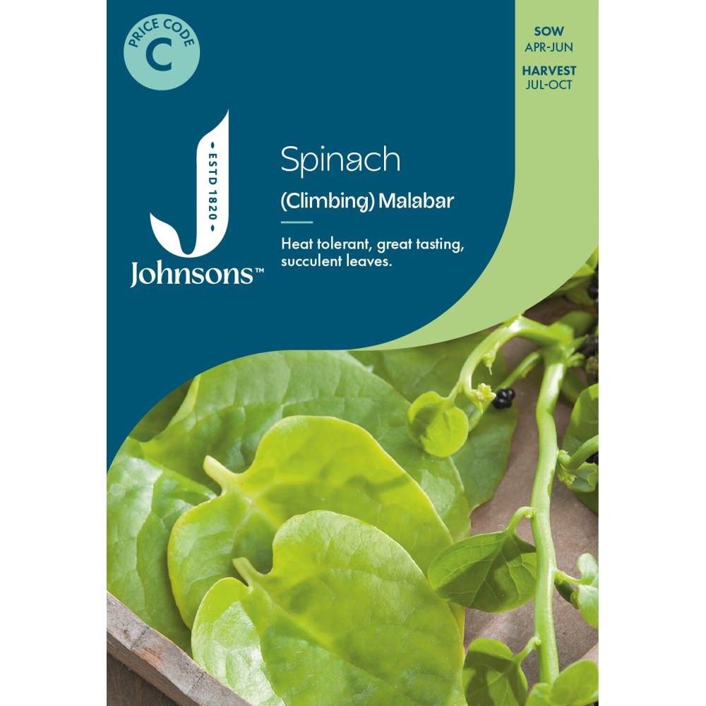 Climbing Malabar Spinach Seeds