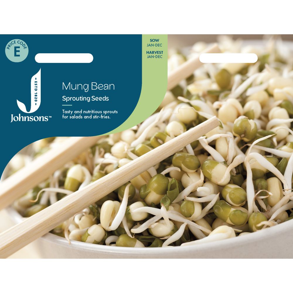 Mung Bean Seeds