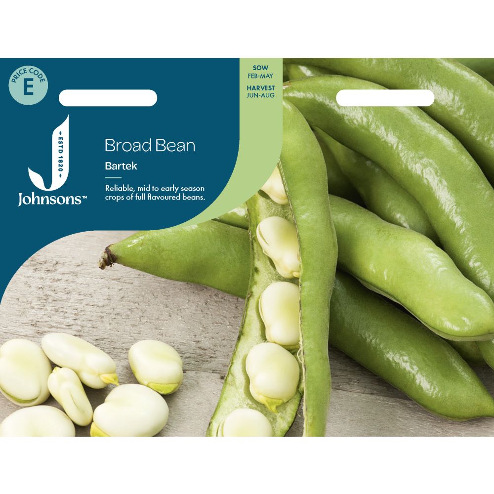 Broad Bean Bartek Seeds