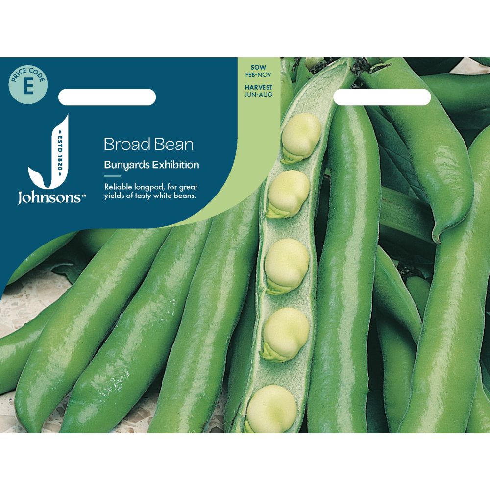 Broad Bean Bunyards Exhibition Seeds