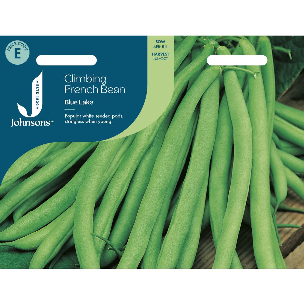 Climbing French Bean Blue Lake Seeds
