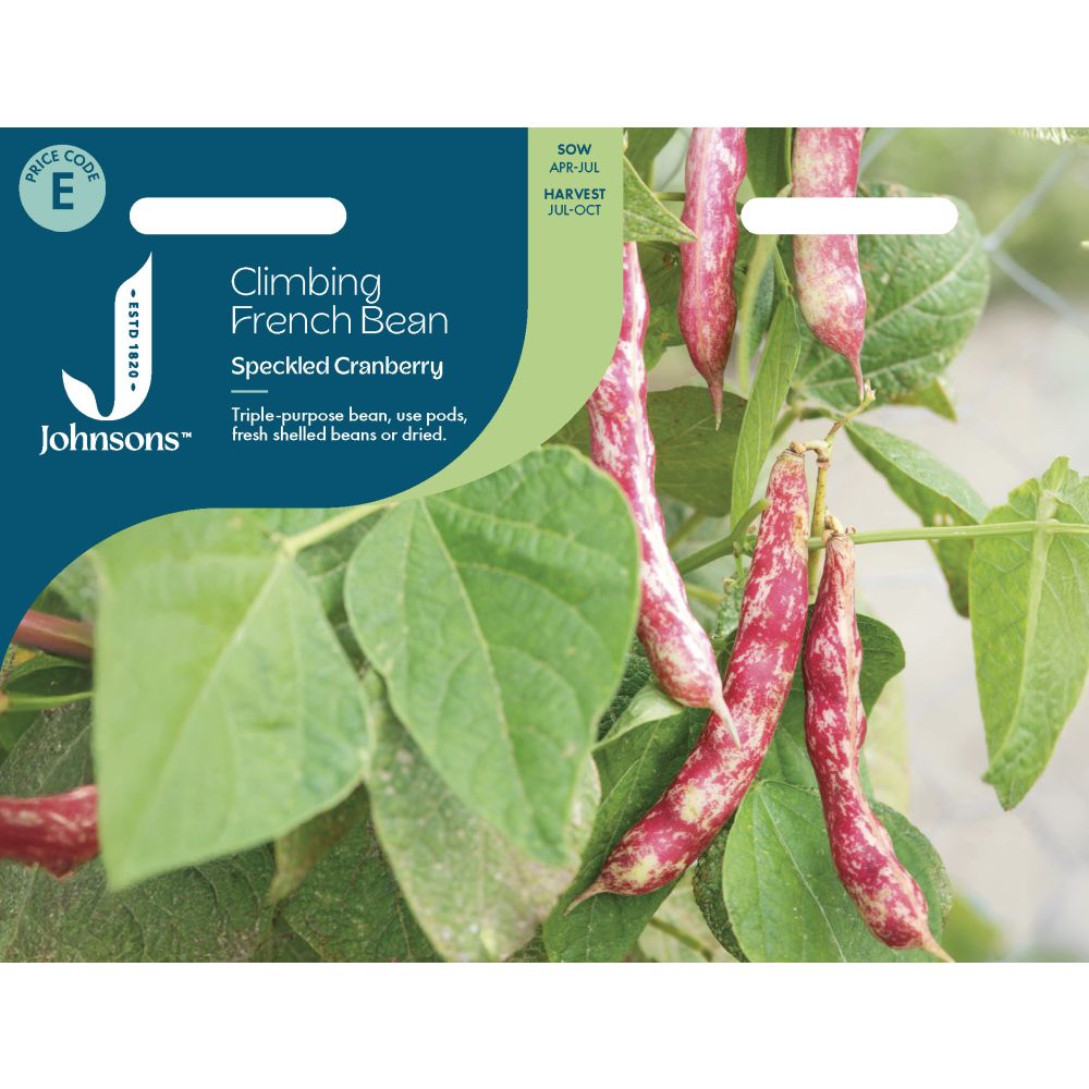 Climbing French Bean Speckled Cranberry Seeds
