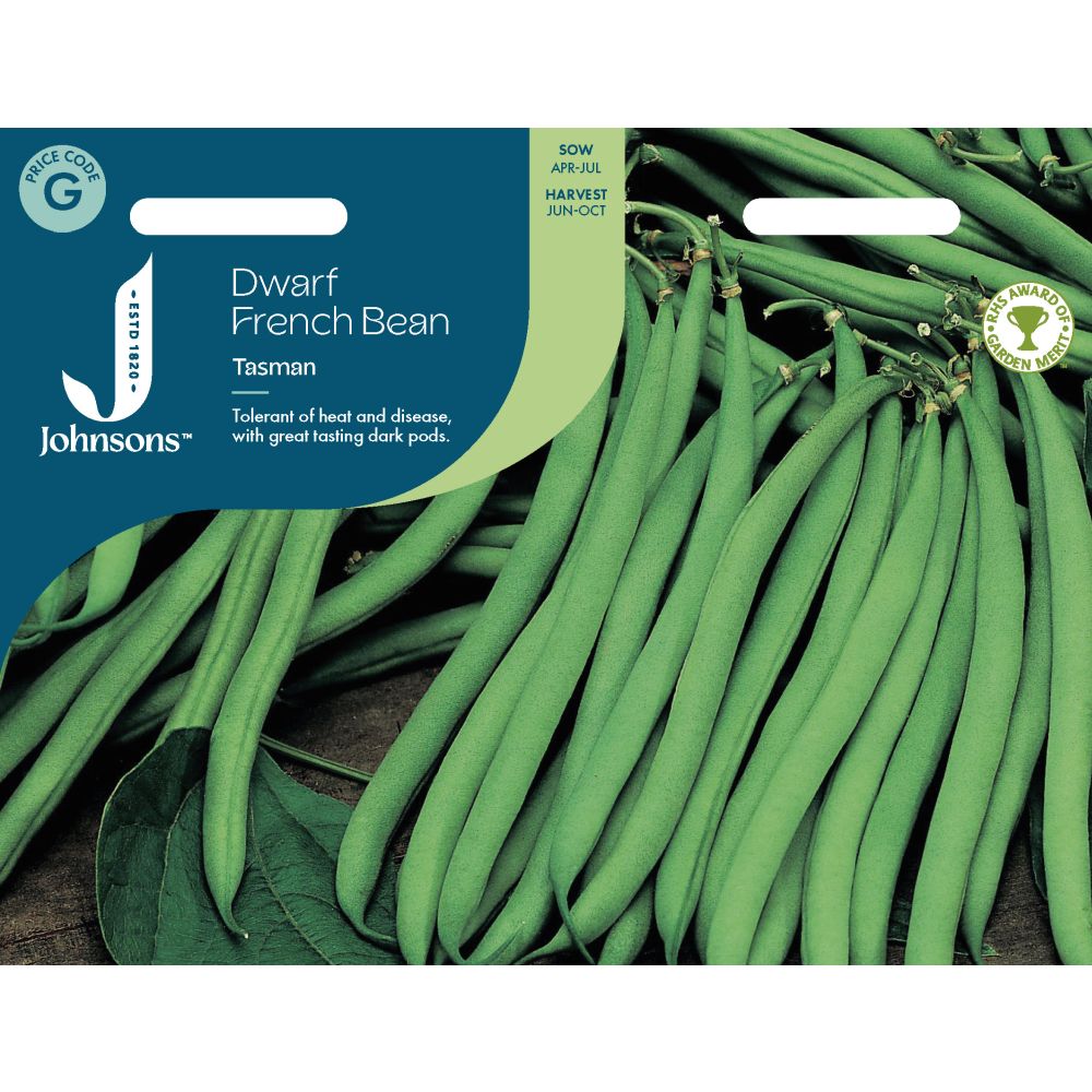 Dwarf French Bean Tasman Seeds
