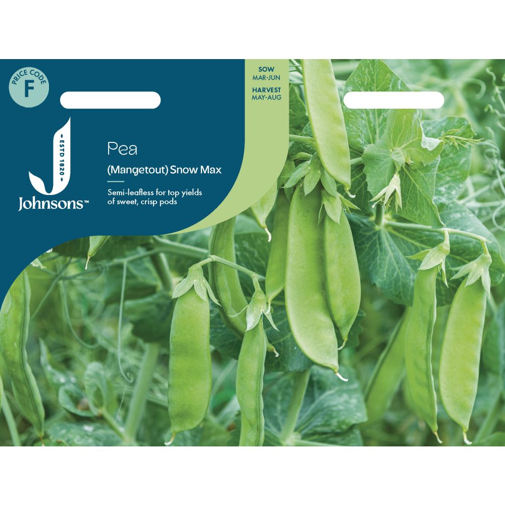 Mangetout Pea Snow Max Seeds