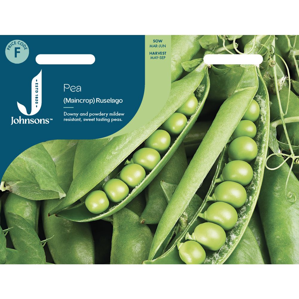 Pea Ruselago Seeds
