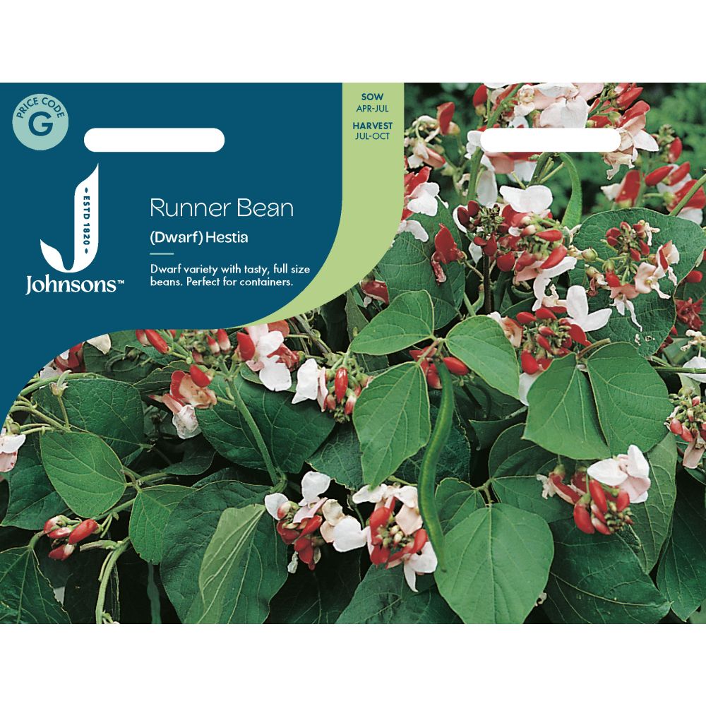 Dwarf Runner Bean Hestia Seeds