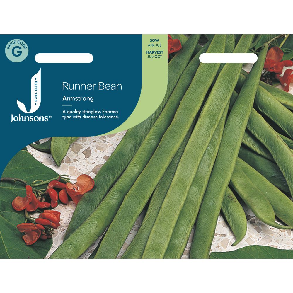 Runner Bean Armstrong (Stringless) Seeds
