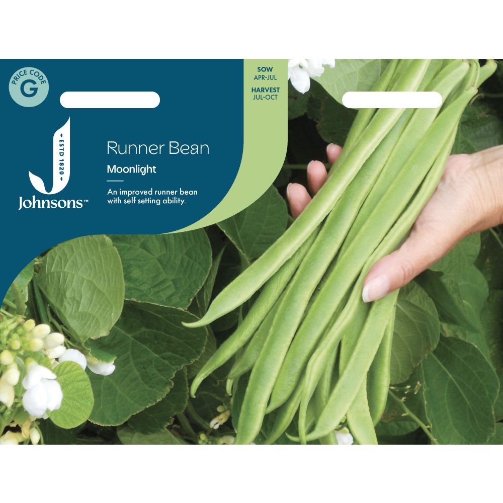 Runner Bean Moonlight Seeds