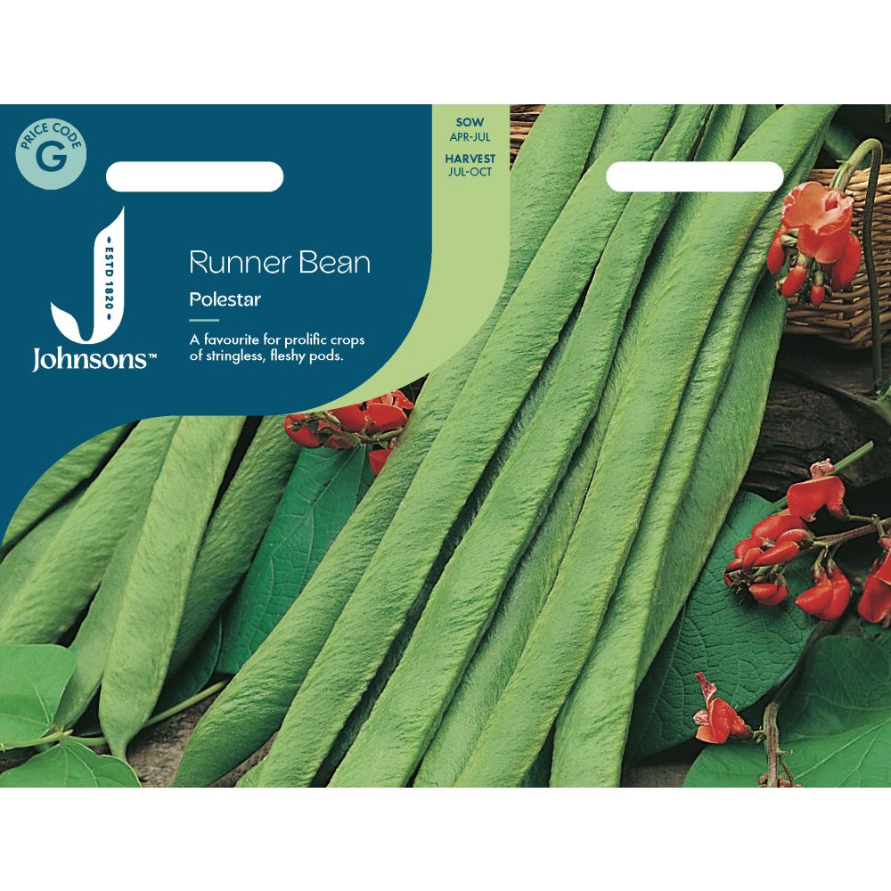 Runner Bean Polestar (Stringless) Seeds