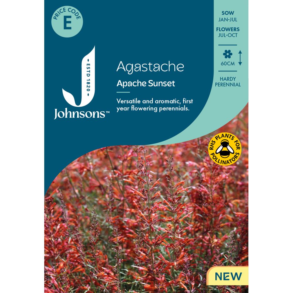 Agastache Apache Sunset Seeds