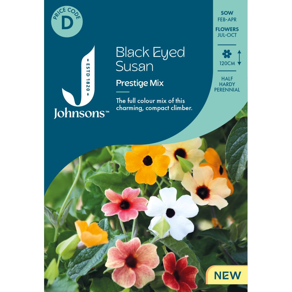 Black Eyed Susan Prestige Mix Seeds