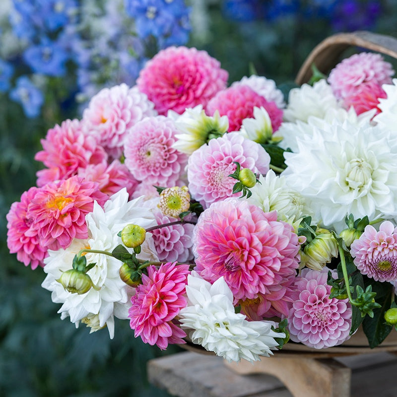 Bouquet of pink, white, and green flowers in a basket with a blurred floral background.