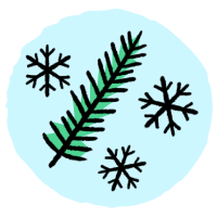 Evergreen-Plant-Johnsons