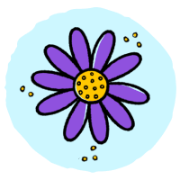 Flower-Seeds-Johnsons