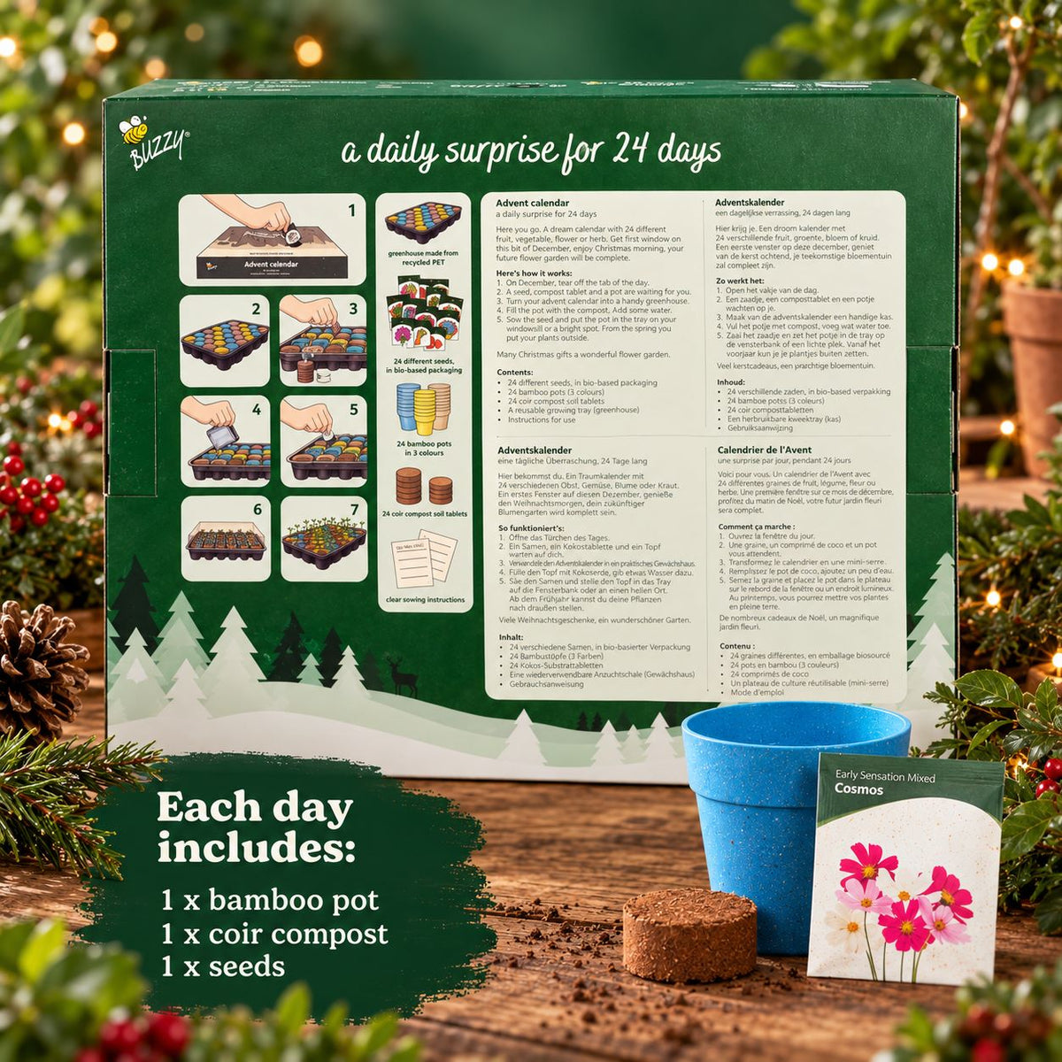 Christmas in Bloom – Flower Seed Advent Calendar