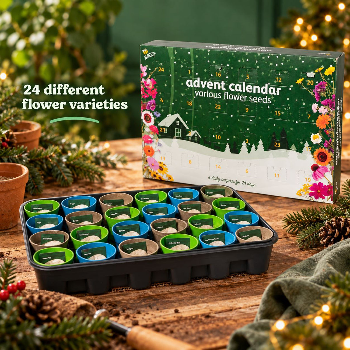 Christmas in Bloom – Flower Seed Advent Calendar