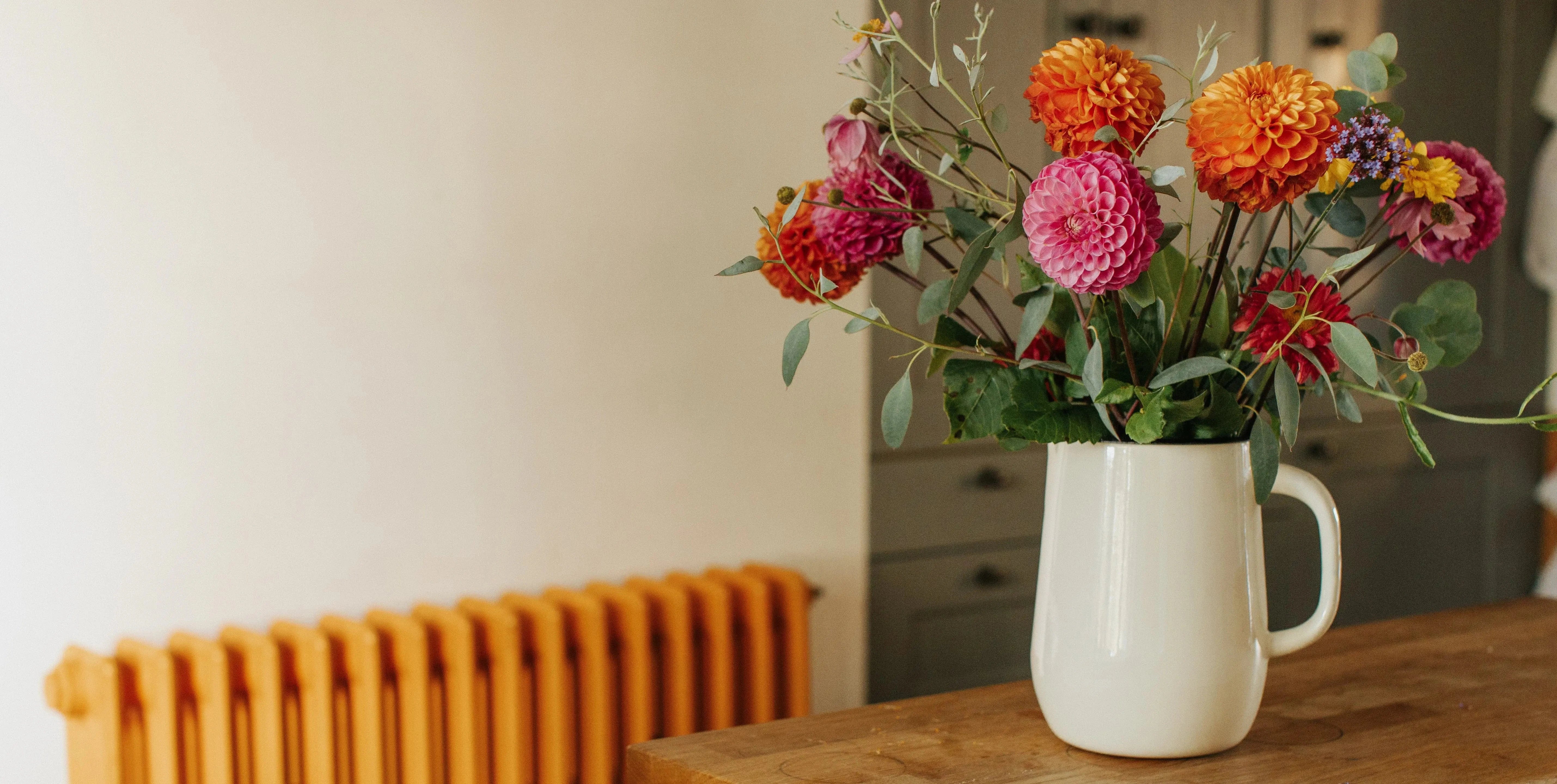 Blue Flower Seeds Blue Flowering Seeds Johnsons Blue Flower Seeds Blue Flowering Seeds Johnsons