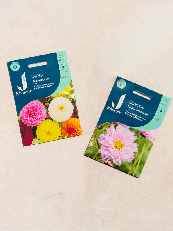 4 For 3 On ALL Seeds