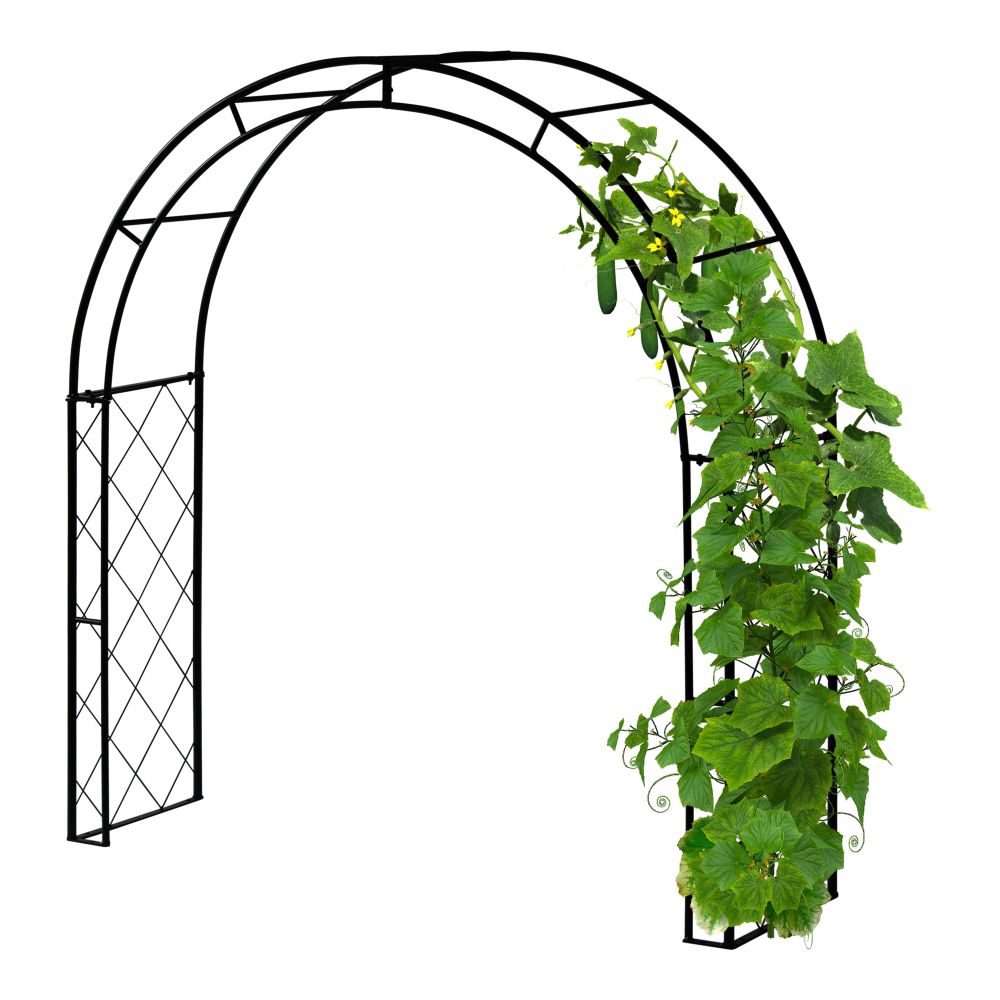 Climbing Arch Black
