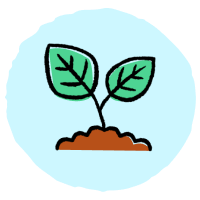 Organic-Seed-Johnsons