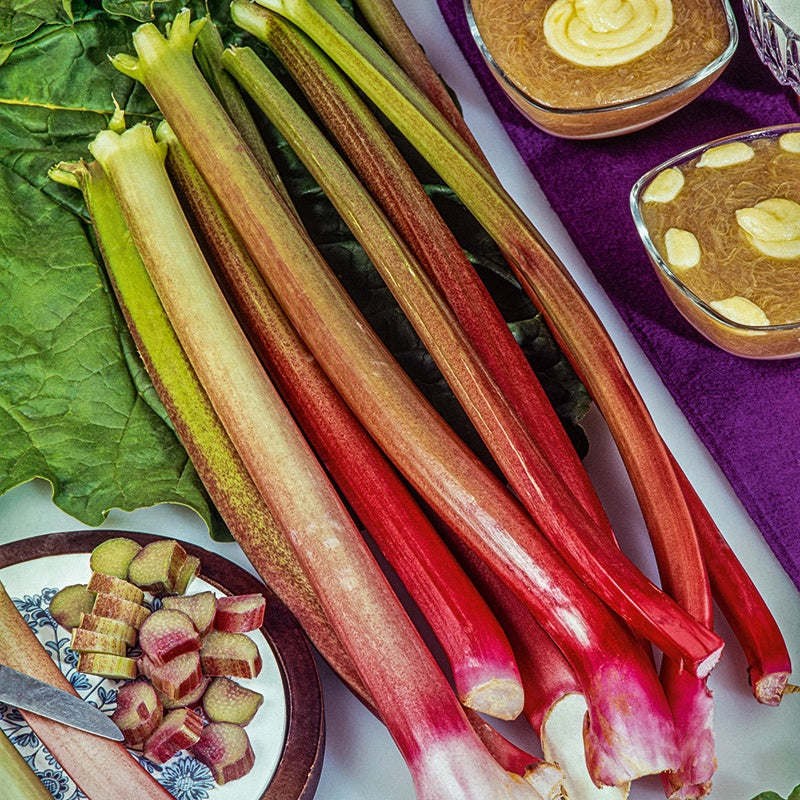 Rhubarb Crumble King Plants - 9cm Potted Plant x3