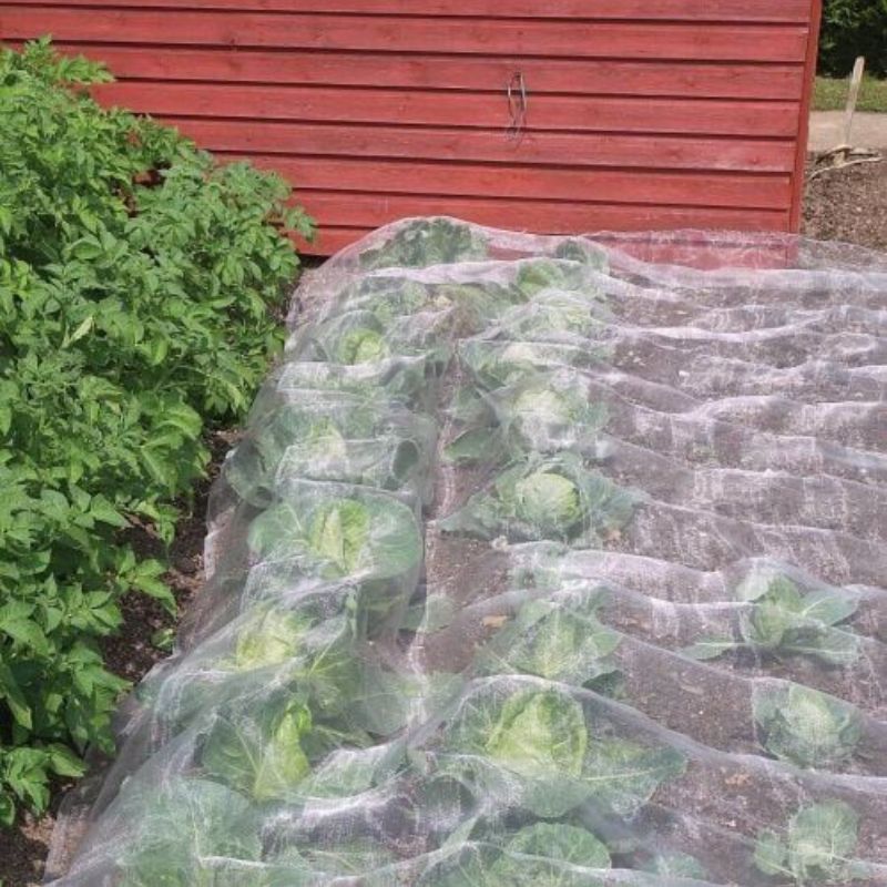 Garden Mesh Insect and Weather Netting