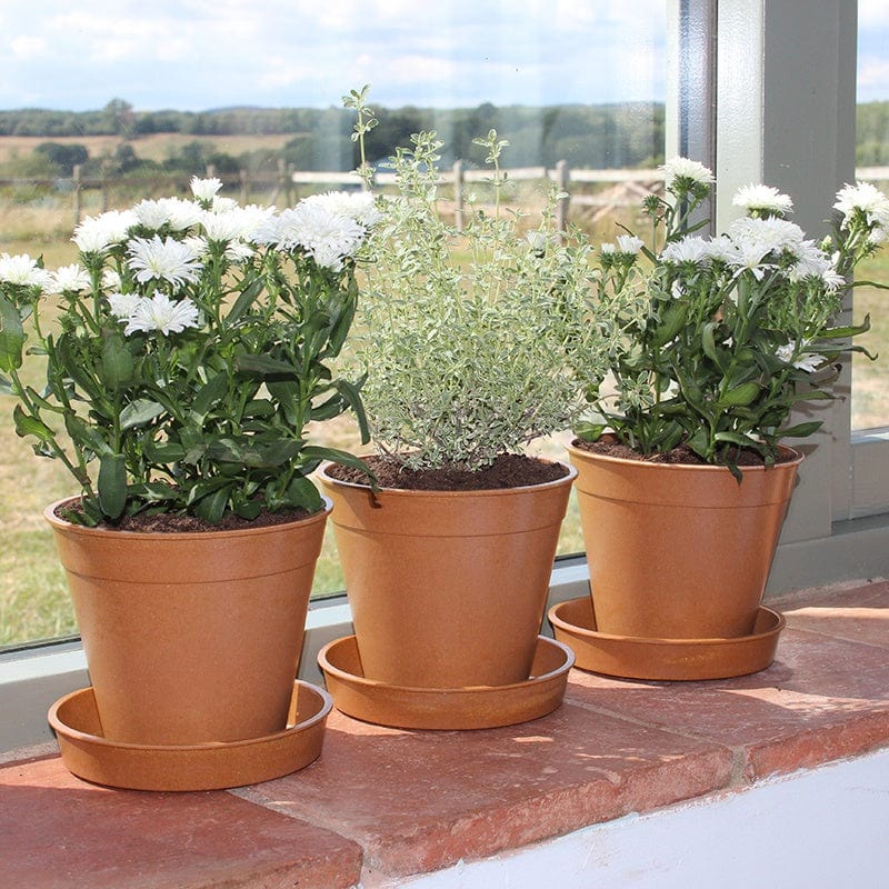 Bamboo Pots & Saucers