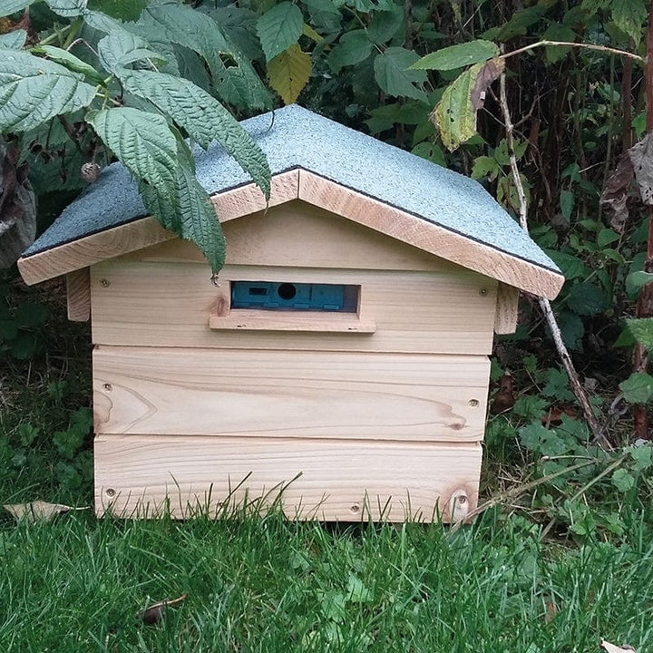 Beepol Villa and Bumblebee Hive