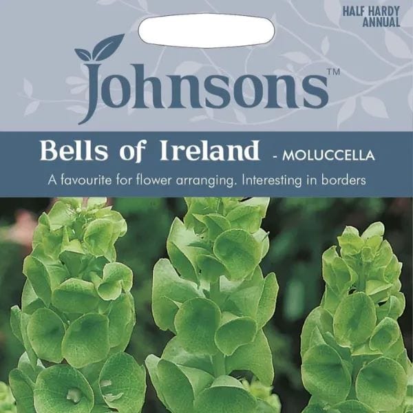 Bells of Ireland Seeds