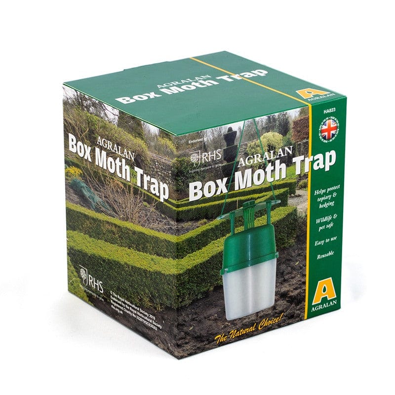 Box Moth Trap