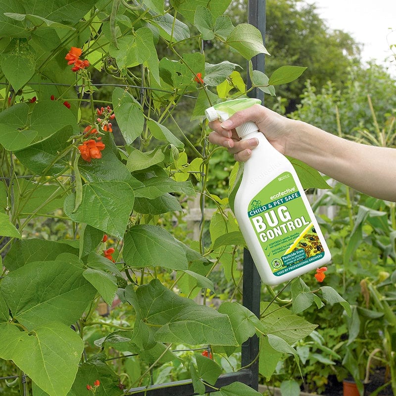 Bug Control Spray