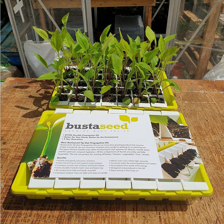 Bustaseed Propagation Tray