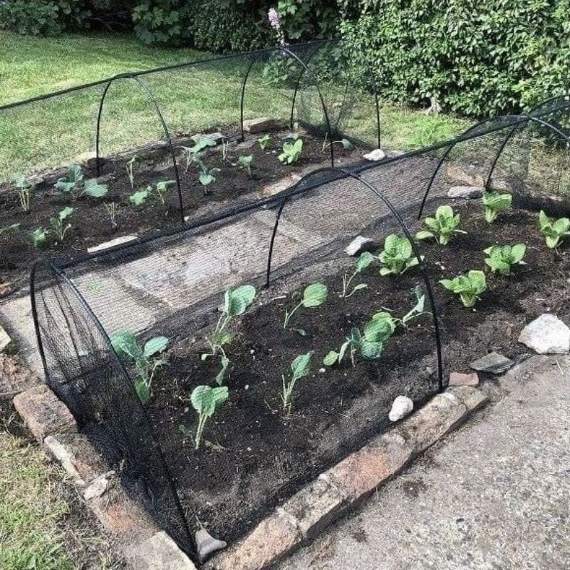 Butterfly Plant Protection Netting